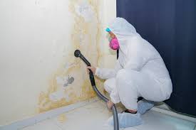 Best Real Estate Mold Inspection  in Choccolocco, AL